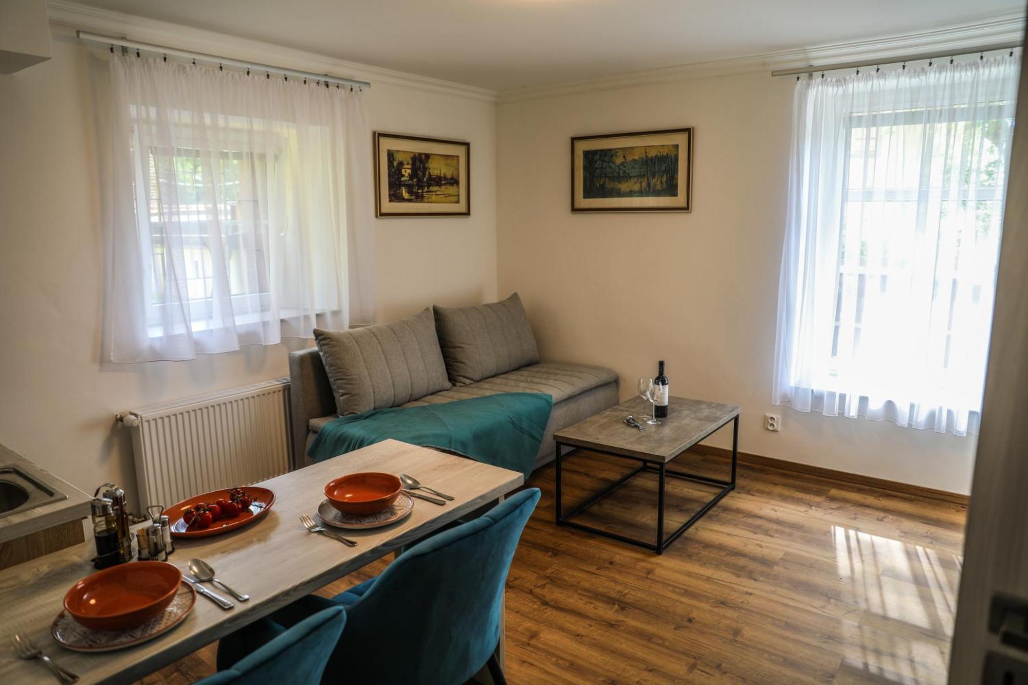 Apartment Irma Karlovy Vary Esterno foto